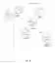 Fig. 22 - METHODS, COMPOSITIONS, AND KITS FOR NUCLEIC ACID ANALYSIS