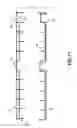 Fig. 12 - Bacterial detection cartridge