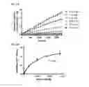 Fig. 06 - Enzymatic modification of nucleic acids