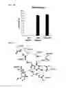 Fig. 16 - Enzymatic modification of nucleic acids