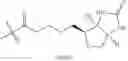 Fig. 31 - Enzymatic modification of nucleic acids