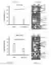 Fig. 05 - USE OF MICROBIAL METABOLITES FOR TREATING DISEASES