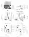 Fig. 09 - USE OF MICROBIAL METABOLITES FOR TREATING DISEASES
