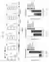 Fig. 26 - USE OF MICROBIAL METABOLITES FOR TREATING DISEASES