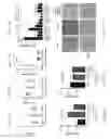 Fig. 27 - USE OF MICROBIAL METABOLITES FOR TREATING DISEASES
