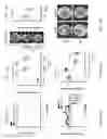 Fig. 31 - USE OF MICROBIAL METABOLITES FOR TREATING DISEASES