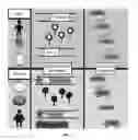 Fig. 07 - METHOD OF EPIGENETIC ANALYSIS FOR DETERMINING CLINICAL GENETIC RISK