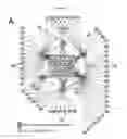 Fig. 07 - Method of predicting risk of recurrence of cancer