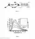 Fig. 06 - Polynucleotide probe, method for detecting a target nucleic acid by using the same and kit comprising the same