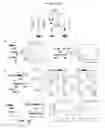 Fig. 03 - Screening assay for identifying miRNA-specific drug compounds