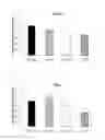 Fig. 05 - Composition for preventing and treating degenerative brain disease using novel lactic acid bacteria