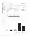 Fig. 15 - Composition for preventing and treating degenerative brain disease using novel lactic acid bacteria