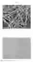 Fig. 02 - PHOTOSENSITIVE FIBERS AND METHOD FOR FORMING FIBER PATTERN