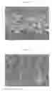 Fig. 03 - PHOTOSENSITIVE FIBERS AND METHOD FOR FORMING FIBER PATTERN