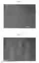 Fig. 05 - PHOTOSENSITIVE FIBERS AND METHOD FOR FORMING FIBER PATTERN