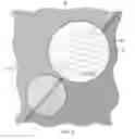 Fig. 03 - Fiber with elemental additive(s) and method of making