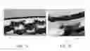 Fig. 08 - POLYTETRAFLUOROETHYLENE TEXTILE AND MANUFACTURING METHOD THEREOF