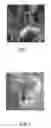 Fig. 02 - NON-WOVEN FABRIC AND PROCESS FOR FORMING THE SAME