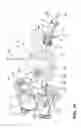 Fig. 10 - Lint processing fluid pump for a laundry appliance