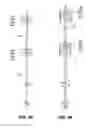 Fig. 26 - Supports for helical piles and anchors