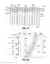 Fig. 30 - Supports for helical piles and anchors