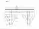 Fig. 05 - CONSTRUCTION METHOD OF FOUNDATION STRUCTURE COMPRISING CROSS BAR