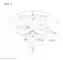 Fig. 05 - Variable nozzle mechanism and variable geometry turbocharger