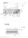 Fig. 04 - Infusion device comprising a wobbling device for acting onto a pump module