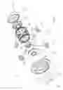 Fig. 02 - Differential