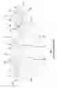 Fig. 02 - Detection device and lubricant distributor