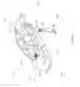 Fig. 46 - Registration of three-dimensional coordinates measured on interior and exterior portions of an object