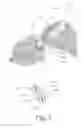 Fig. 06 - Mobile device for food identification an quantification using spectroscopy and imaging