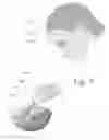 Fig. 08 - Mobile device for food identification an quantification using spectroscopy and imaging