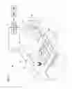 Fig. 02 - SPECIMEN STAINING SYSTEM