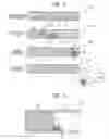 Fig. 03 - Method of processing specimen and specimen processing apparatus