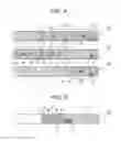 Fig. 04 - Method of processing specimen and specimen processing apparatus