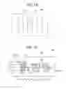 Fig. 10 - Method of processing specimen and specimen processing apparatus