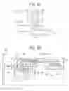 Fig. 14 - Method of processing specimen and specimen processing apparatus