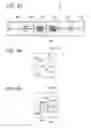 Fig. 23 - Method of processing specimen and specimen processing apparatus