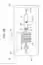 Fig. 29 - Method of processing specimen and specimen processing apparatus