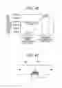 Fig. 30 - Method of processing specimen and specimen processing apparatus