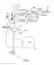Fig. 02 - Flowcell systems and methods for particle analysis in blood samples