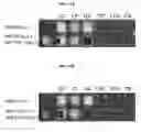 Fig. 20 - Near-infrared fluorescent probe for detecting alkaline phosphatase and manufacturing method thereof