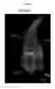 Fig. 31 - Near-infrared fluorescent probe for detecting alkaline phosphatase and manufacturing method thereof