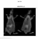 Fig. 32 - Near-infrared fluorescent probe for detecting alkaline phosphatase and manufacturing method thereof