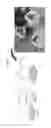 Fig. 33 - Near-infrared fluorescent probe for detecting alkaline phosphatase and manufacturing method thereof