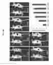 Fig. 35 - Near-infrared fluorescent probe for detecting alkaline phosphatase and manufacturing method thereof
