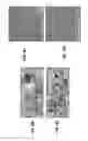 Fig. 12 - Label-free detection of small and large molecule interactions, and activities in biological systems