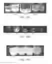 Fig. 20 - Phosphorous-based sensors for detection of multiple solvents