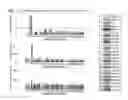 Fig. 41 - Microbial microfluidic biosensor
